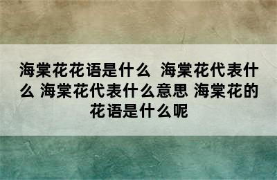 海棠花花语是什么  海棠花代表什么 海棠花代表什么意思 海棠花的花语是什么呢